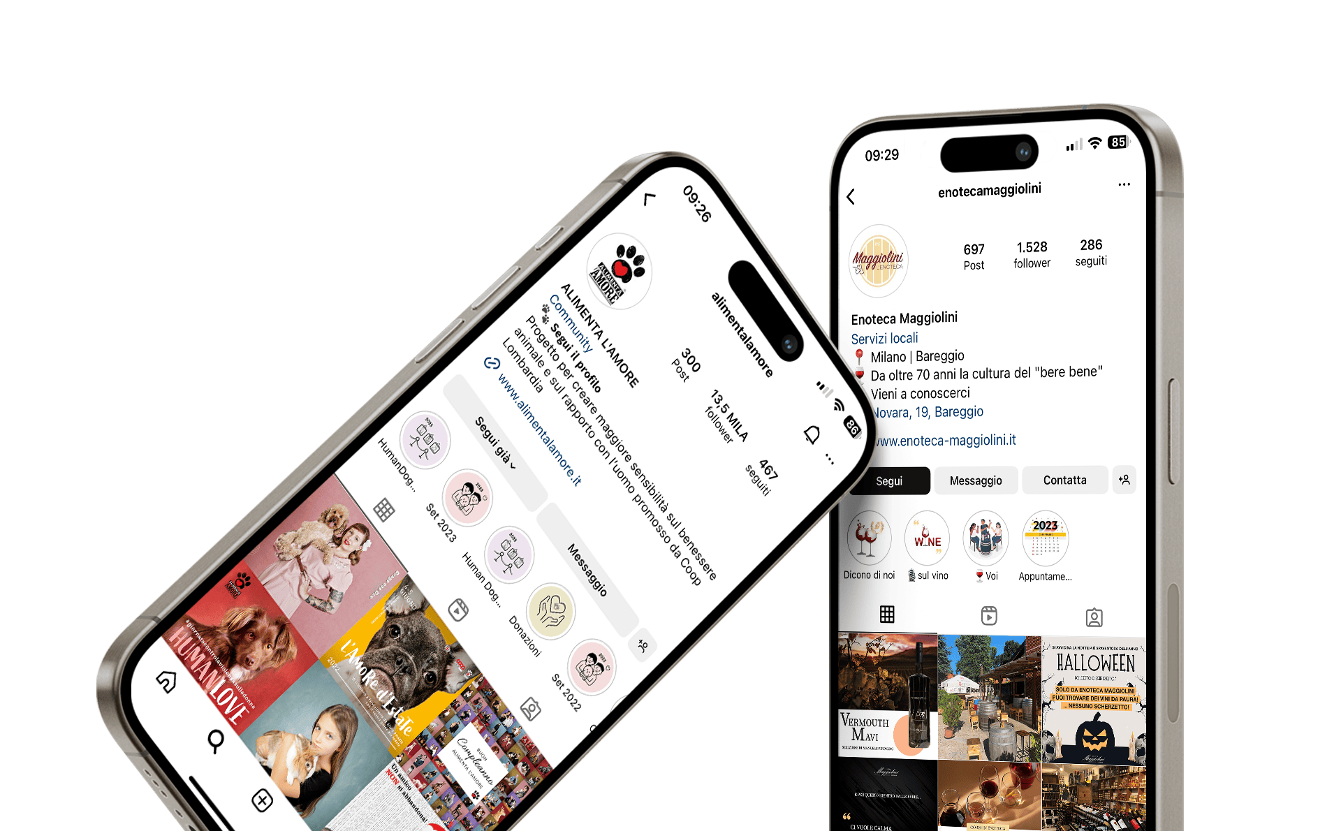 social media marketing