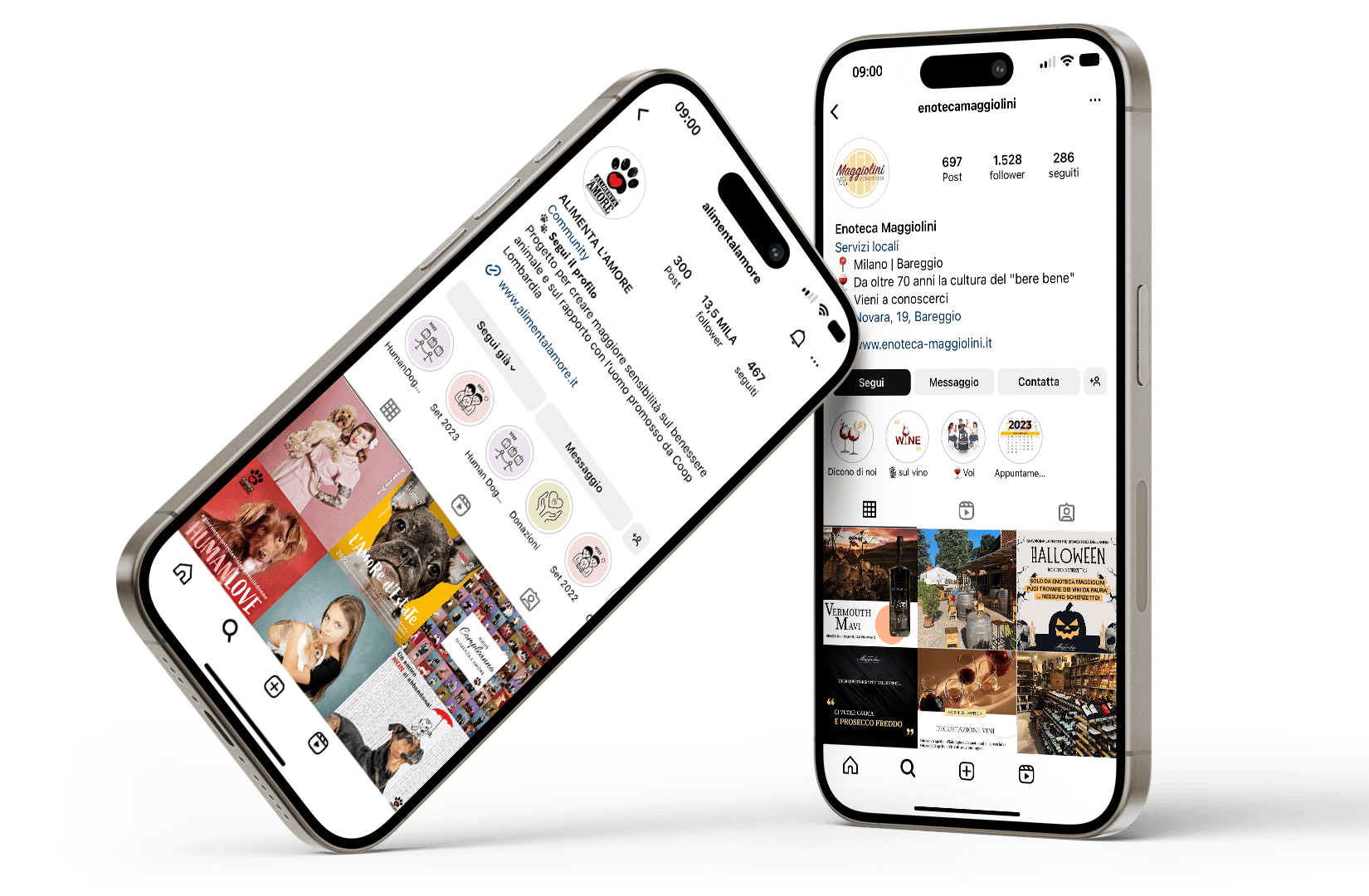 Gestione profili Instagram