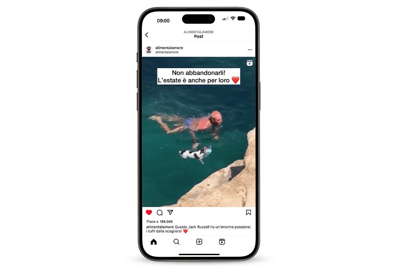 Inserzione di Instagram Alimenta l'amore