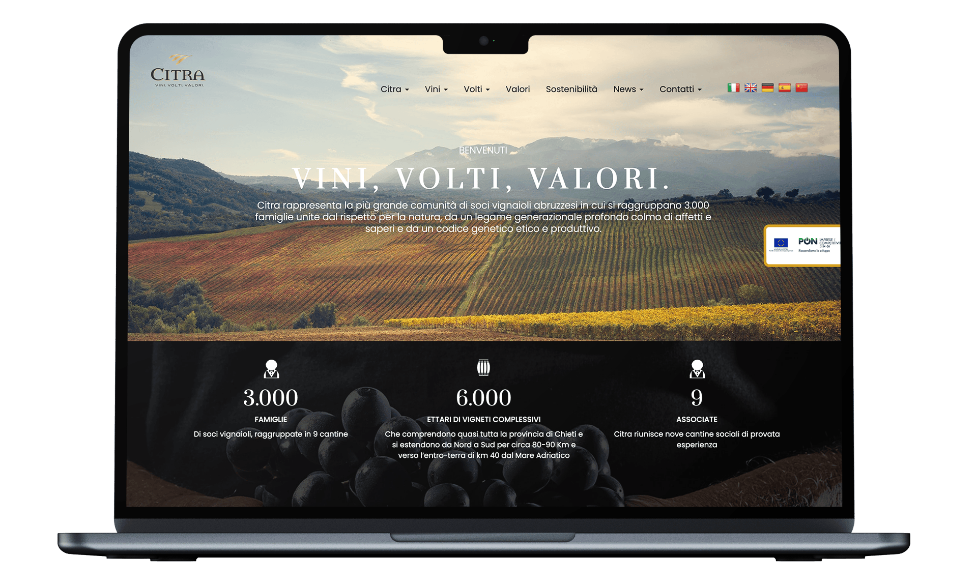 Siti web per cantine e aziende vinicole